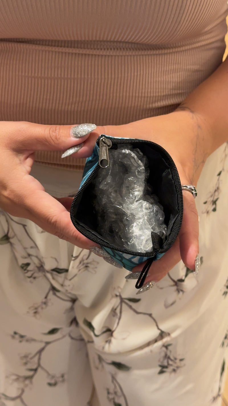 Coin Purse Bag